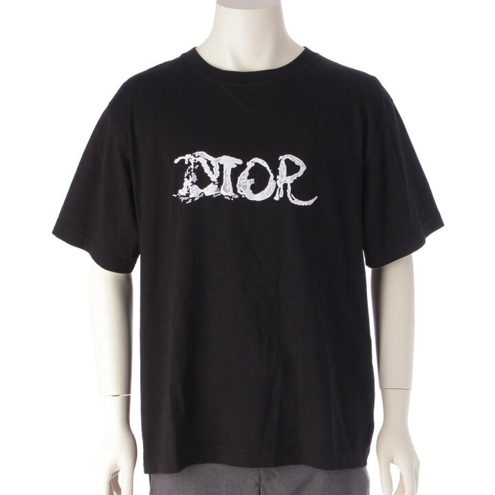 楽天市場】【ディオール】DIOR メンズ 21AW Peter Doig ピーター 