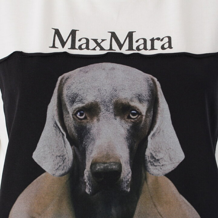 楽天市場】マックスマーラ MAX MARA 23年 コットン 表参道限定 CIPRIA  