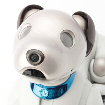 楽天市場】ソニー aibo 中古の通販