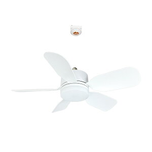 LED�V�[�����O�t�@�����C�g E26���� 15W ���a50cm �����R���t�� �L�͈� ���� ���F �q������ ���u�� �g�C�� ���ʏ� �L�b�`��