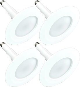 _ECgpLkLEDtbgd 110`180mmΉ E26 dF 10W 1,000[