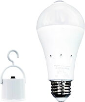 楽天市場】電球 吊り下げ（電球｜ライト・照明器具）：インテリア 
