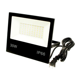 （2個セット）IP66 防雨形LED投光器 リアル30W IP66 薄型 昼光色 ブラック ACプラグ付き電源コード2m 送料無料 (沖縄・離島を除く) 節電 電気代節約