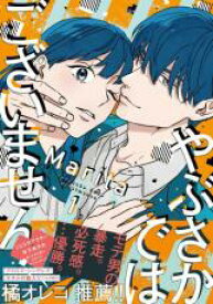 中古 Comic▼やぶさかではございません (4冊セット)第 1〜4 巻 レンタル落ち 全4巻