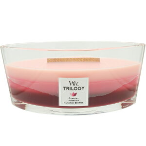 Ki EbhEBbN Lh n[XEBbN L J} Lh nEX Wood Wick gF 낤 p`p`  tOX  A}  lC  j Mtg Wt 