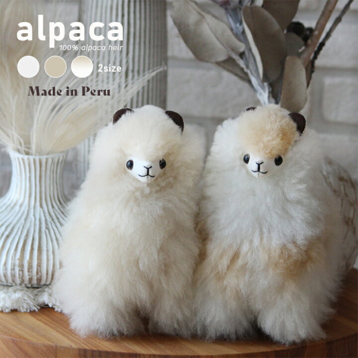 楽天市場】『ふわふわ』 アルパカ ぬいぐるみ 本物 生後2ヶ月 希少  