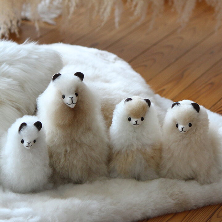 楽天市場】『ふわふわ』 アルパカ ぬいぐるみ 本物 生後2ヶ月 希少  