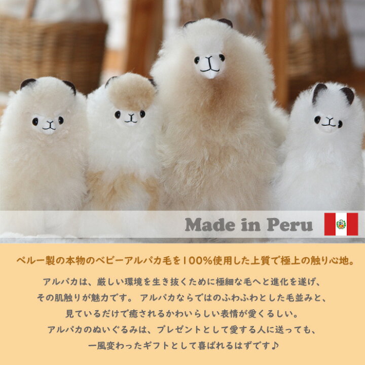 楽天市場】『ふわふわ』 アルパカ ぬいぐるみ 本物 生後2ヶ月 希少  