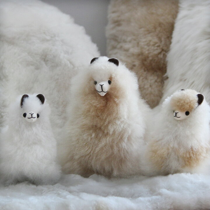 楽天市場】『ふわふわ』 アルパカ ぬいぐるみ 本物 生後2ヶ月 希少  