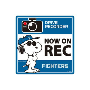 {nt@C^[Y ObY Xk[s[R{ w TC}Olbg x y NOW ON REC z v싅 ObY lp^ XebJ[  c    Mtg J[pi  ObY