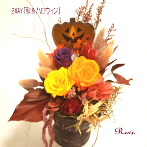 nEB vU[uht[ AWAutumn//H/쑐/a/uU[uhiҗ j j Mtg zj a  vU[h t[ uU[hj yvU[