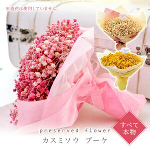 vU[uht[ JX~\E u[P ݑ ԑ  Mtg t[ a j 킢  L[g     ސEj ސE  Mtg ~Mtg NX}X 