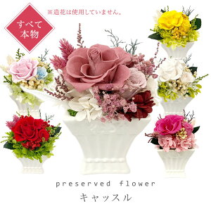 yzvU[uht[ Mtg LbX P[X  t[ a j 킢  L[g     ސEj Ď җ AW yvU[ht