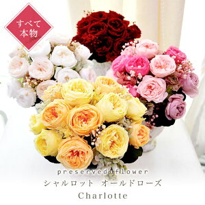 vU[uht[ P[X Mtg Vbg I[h[Y o a  JXj  @l  v|[Y vU[uh uU[uh 蕨  AW { j