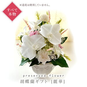 vU[uht[ Ӓ Mtg[] P[X 傤  R`E _ a    j  a j   t[ vU[ht[ u