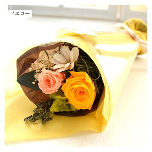 vU[uht[ ԑ ~j u[P v`u[P J[l[V o v[g AeB[N  킢 a j  vU[ht[ uU[h t[  