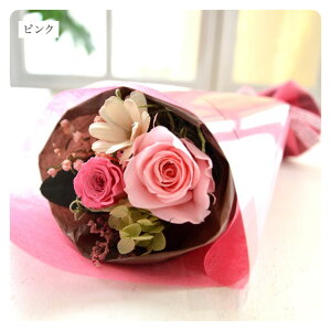 vU[uht[ ԑ ~j u[P v`u[P J[l[V o v[g AeB[N  킢 a j  vU[ht[ uU[h t[  