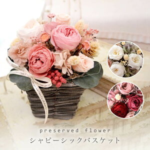 vU[uht[ Mtg Vr[ VbN oXPbg AeB[N P[X a I[h[Y OCbV j  j AW zj vU[h t[ u