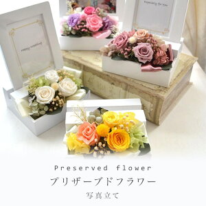 vU[uht[ ʐ^ tHgt[ ؐ t[ a j j Vzj  ސEj  AW zj vU[h t[ uU[h