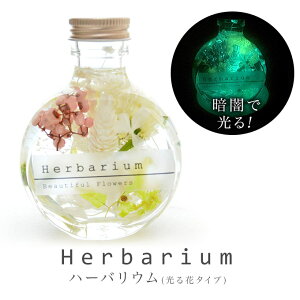  n[oE ÈłŌԓ Mtg  v[g vU[uht[ AW{ a₨j ɂ aij j Mtg zj t[ i`