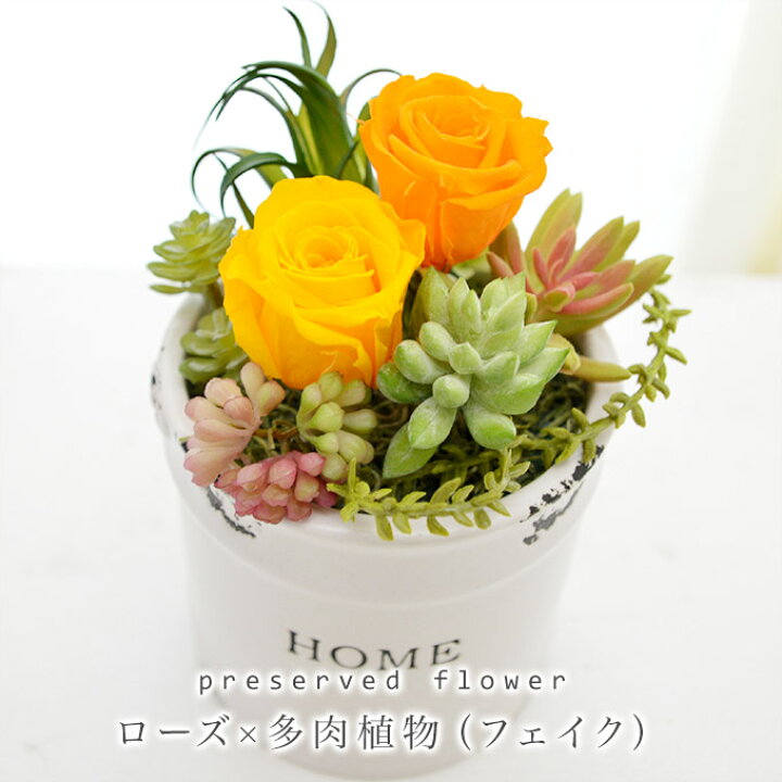 楽天市場 送料無料 ギフト プリザーブドフラワー ローズ 多肉植物 フェイク Yellow G Plants 寄せ植え 誕生日 多肉 観葉 グリーン あす楽 即日出荷 冬ギフト クリスマス プリザードフラワー ブリザードフラワー Reve 楽天市場 送料無料 ギフト プリザーブドフラワー ローズ 多肉植物 フェイク Yellow G Plants 寄せ植え 誕生日 多肉 観葉 グリーン あす楽 即日出荷 冬ギフト クリスマス プリザードフラワー ブリザードフラワー Reve