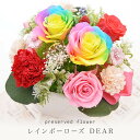 【送料無料】プリザーブドフラワー レインボーローズ/誕生日★レインボー Dear★ケース入り バラ プリザード 花（お祝い 結婚祝 ギフト 引越祝い フラワー ブリザード）【即日出荷】【プリザードフラワー ブリザードフラワー】秋ギフト