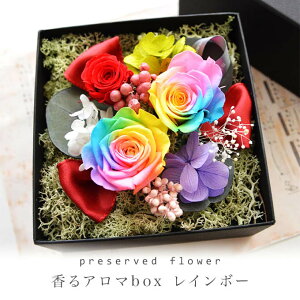  {IvU[uht[ C{[[YyC{[ A} boxz{bNX  t[ Mtg v[g a {bNX AW tyvU[ht[ 