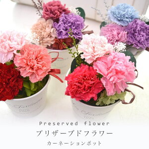 vU[uht[ J[l[V |bg  t[ v[g a vU[h j j AW zj 킢 v[g o Mtg AeB[N  Mtg H