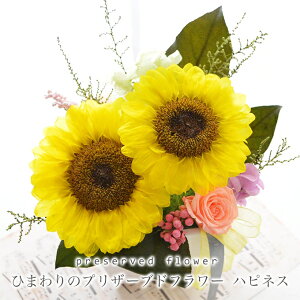 100% vU[uht[ q} Mtg nslX Ђ܂ AW a  uU[uh j j Mtg zj T}[ t[ uU[h ŋz o v