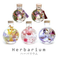 ハーバリウム ギフト 花 フラワー プレゼント プリザーブドフラワー 植物標本 ドライフラワー/誕生日（お…