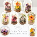 プリザーブドフラワー ガラスドーム Pillar/Dome/Gran 誕生日 花 ガーベラ ボトルフラワー ガラス ケース入り ガラス…