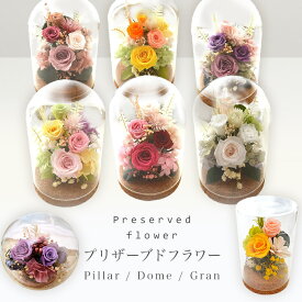 プリザーブドフラワー ガラスドーム Pillar/Dome/Gran 誕生日 花 ボトルフラワー ガラス ケース入り ガラスケース グラス お祝い 送別 アンティーク おしゃれ シック プレゼント 還暦 米寿 白寿 結婚祝い 喜寿 卒寿 お供え お見舞 入学祝 プレゼント「コースタープレゼント」