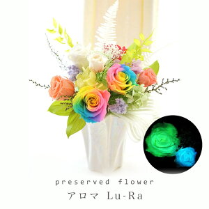 100%vU[uht[ C{[ a ÈłŌ  A}Lu-Ra uU[uh j j Mtg zj  vU[h t[ C{[[Y o  ސEj 