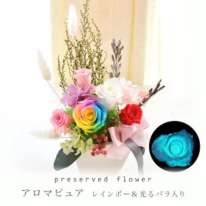  ق̂荁 100% vU[uht[ Mtg AW [A}sA C{[ [YÈłŌo] vU[uh uU[uh a 蕨  JXj AW 