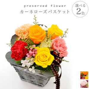 vU[uht[ ̓ Mtg [J[l[YoXPbg] J[l[V  t[ a vU[ht[ j j AW zj 킢 v[g oׁ@