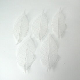 スケルトンリーフ（ミニ） 白 5枚入り【ドライ】【花材】【ハーバリウム】【プリザードフラワー ブリザードフラワー】【冬 ギフト】花 ギフト バレンタイン ひな祭り ホワイトデー 卒業祝い