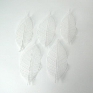 XPg[ti~jj  5yhCzyԍށzyn[oEzyvU[ht[ uU[ht[zy~ Mtgz Mtg o^C ЂȍՂ zCgf[ Əj