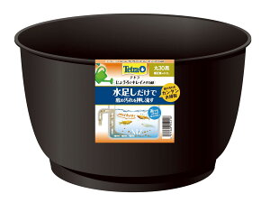Tetra �e�g�� ���傤��ŃL���C���_�J�� ��30 �� �������ւ��邱�Ƃ��ł��� ���@�� ������ ����ɂ��� ��� ������ �y�� �������s�v