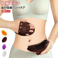 【2個セット】 経絡ブラシ マッサージブラシ マッサージ器 ボディ ヘッドスパ オイルブラシ 実用的 マッ…