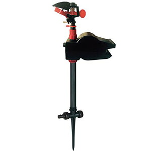 XvN[ Qb΍ g L 쏜  L悯 JXAXAꌁAALȂǑΉ Q΍ Q ԊOt 뉀_ی Q