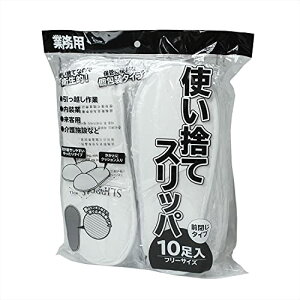 [G[X] 쏤 Ɩp ĝăXbp 10g O^Cv  WS6100