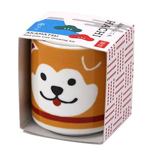 V| t/H ̂Ђ뉀 ܂ߖ~ ~̓Lbg ~j ͔|Lbg Ă ԏ ȒP ͔|Zbg (R) ̌a4cm ł傱 n`  ̓ v[g a GD-