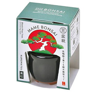 V| t / H ̂Ђ뉀 ܂ߖ~ ~̓Lbg ~j ͔|Lbg Ă  ȒP ͔|Zbg ( R ) ̌a4cm ~j HACO MAME ̓ ̓ v[g a GD-96501