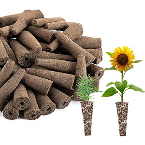 k͔| X|W 30 k͔| AX|W k͔|Lbg ͔|Lbg kX|W c  K[f A琬