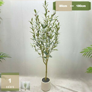 オリーブ 鉢植え 大きい」の人気商品一覧 | 安い商品を通販サイトから 