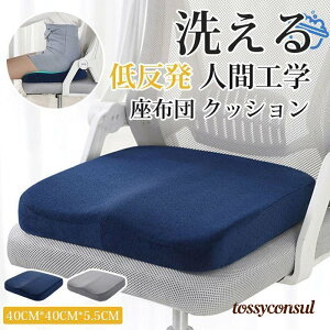 ���z�c �N�b�V���� �ᔽ�� �֎q �傫�� �l�ԍH�w �̈����U �f�X�N�`�F�A �I�t�B�X�`�F�A �J�o�[�� �V���� �M�t�g �v���[���g