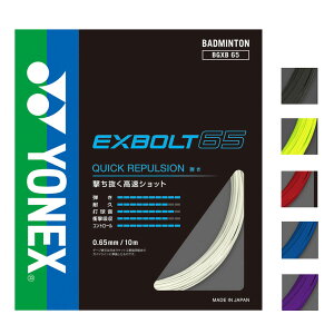 YONEX(lbNX) GNX{g 65 BGXB65 oh~gKbg XgO 10MpbP[W r-y[X|[cz
