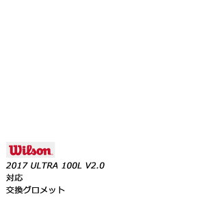 Wilson(�E�B���\��) �����p�O�����b�g 2017�N���f�� ULTRA 100L V2.0 ( ULTRA 100L V2.0 ) �p WRG737400 �� �摜�͏��i�C���[�W�ł� r-�y���[���X�|�[�c�z