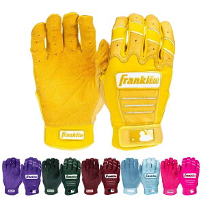FRANKLIN �t�����N���� CFX PRO HI-LITE CFX �v�� �n�C���C�g �o�b�e�B���O�O���[�u �A�_���g ��l�p �������K�i�y����p�Z�b�g�z