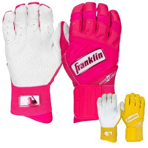 FRANKLIN �t�����N���� �p���[�X�g���b�v PRT �C���t�B�j�b�g�V���[�Y �o�b�e�B���O�O���[�u �A�_���g ��l�p �������K�i�y����p�Z�b�g�z